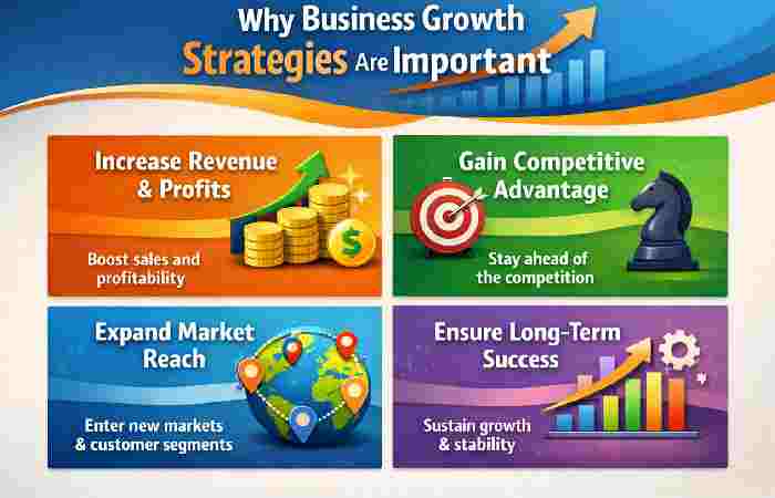 Reasons why Business Growth Strategies are important.