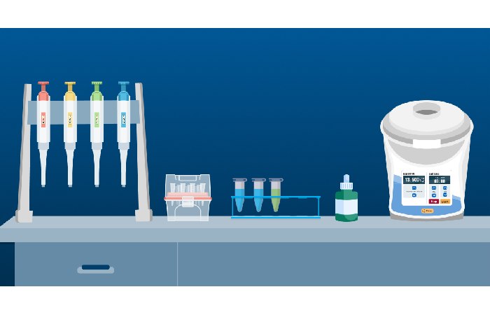 global growth of virtual labs