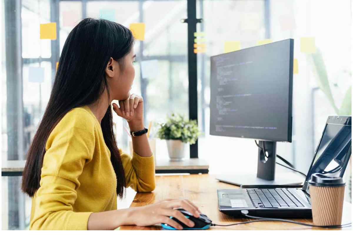 application developer