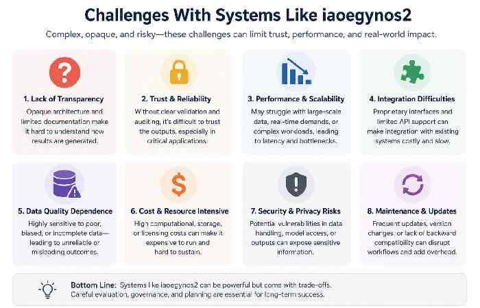 Challenges With Systems Like iaoegynos2